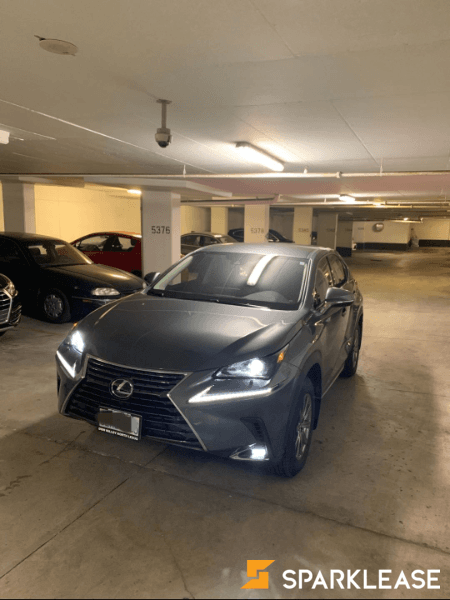 2020 Lexus NX300