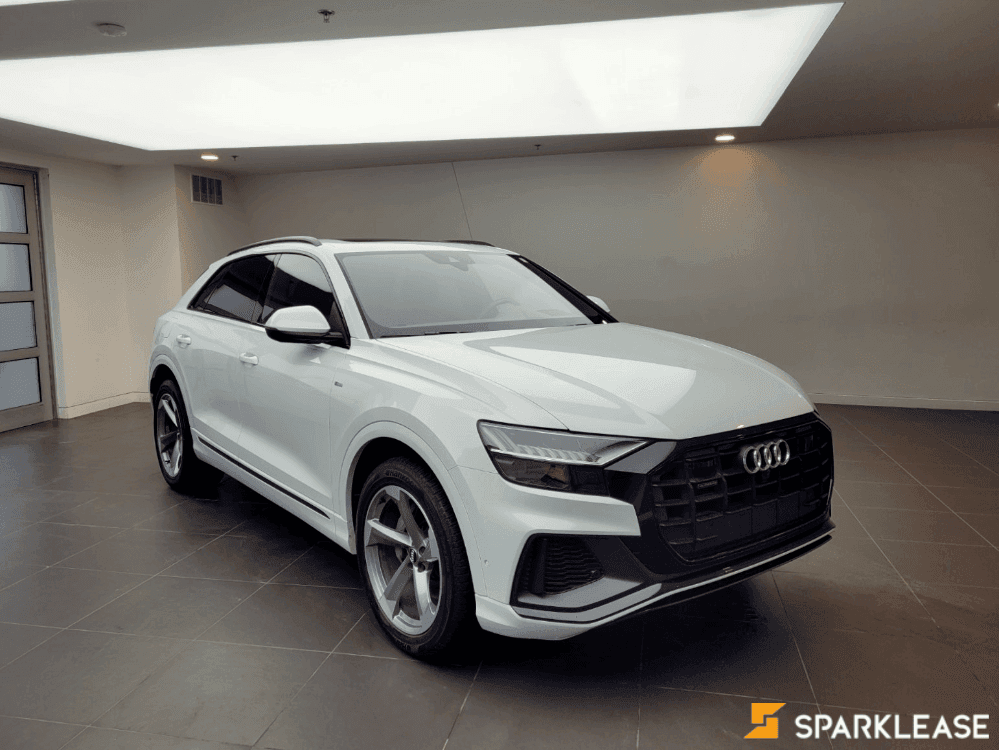 2019 Audi Q8 Technik