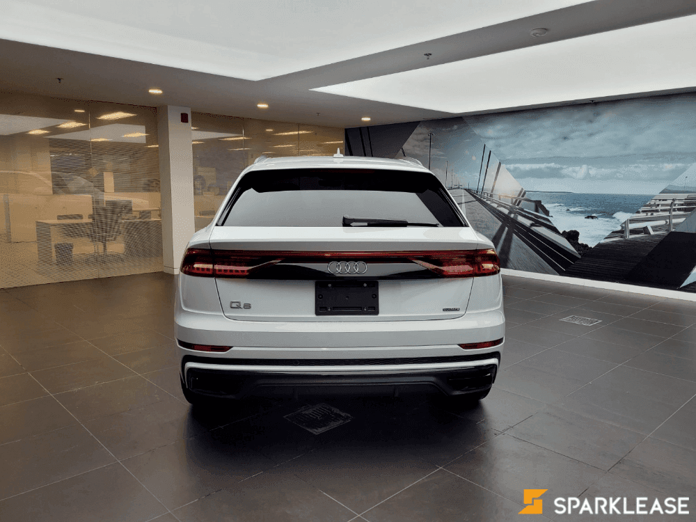 2019 Audi Q8 Technik