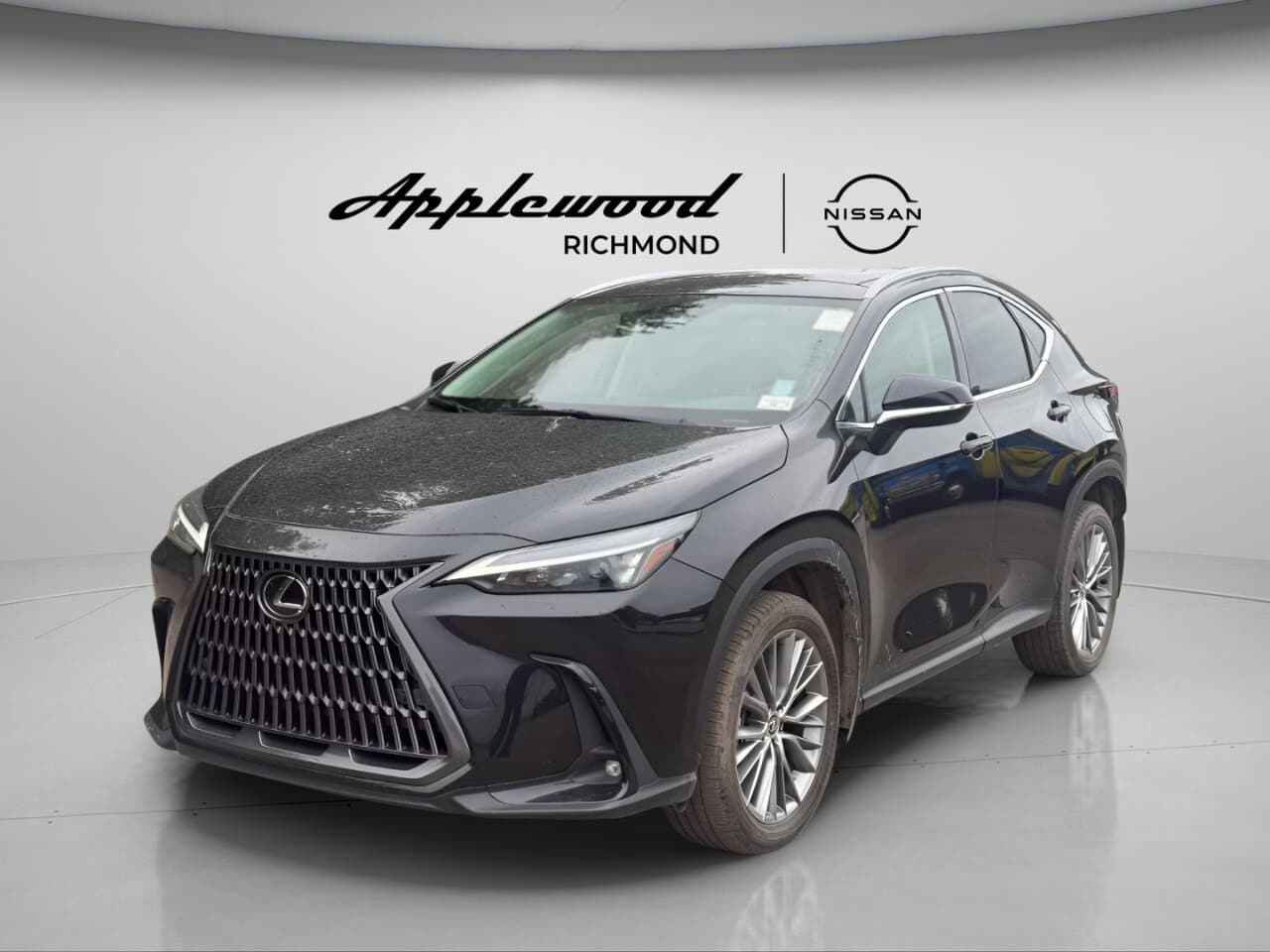 2024 Lexus NX NX 350