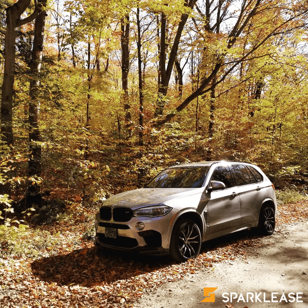 2016 BMW X5 M