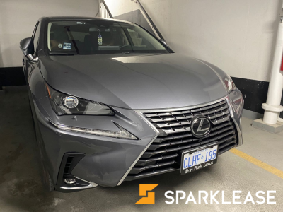 2020 Lexus NX