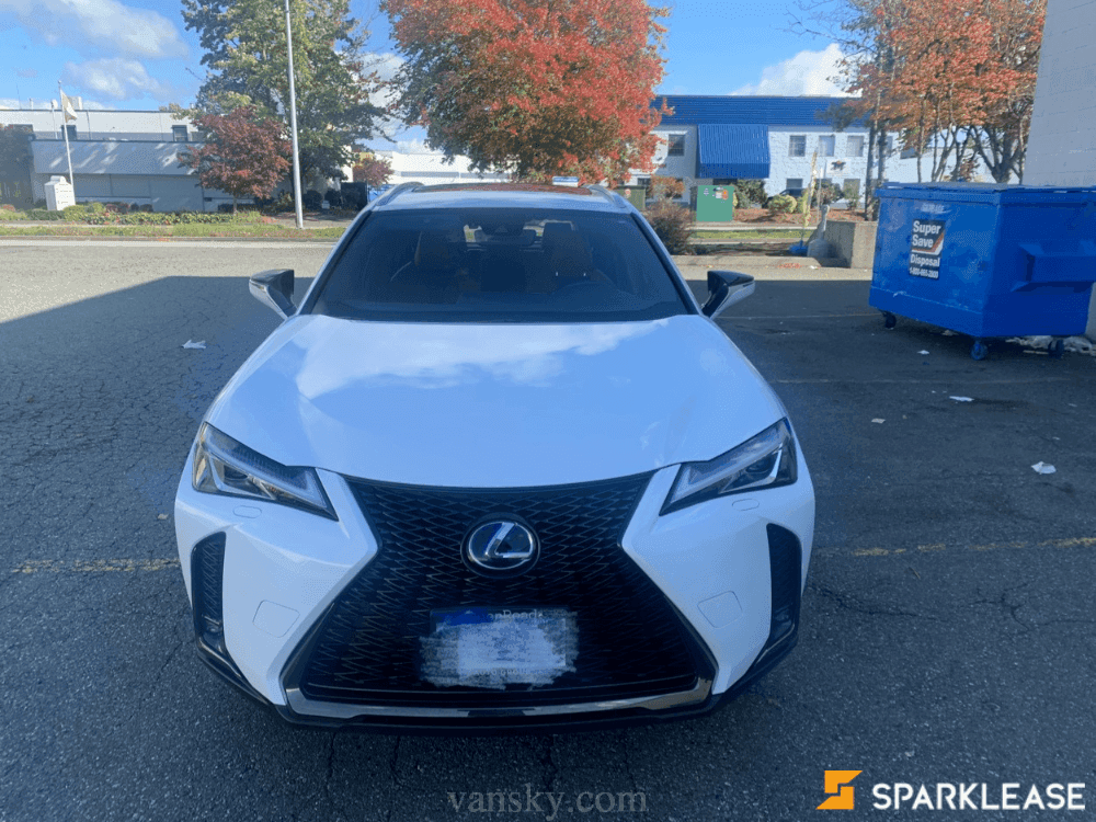 2021 Lexus UX 260h