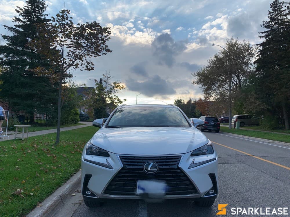 2021 Lexus NX300 Premium珍珠白红内饰