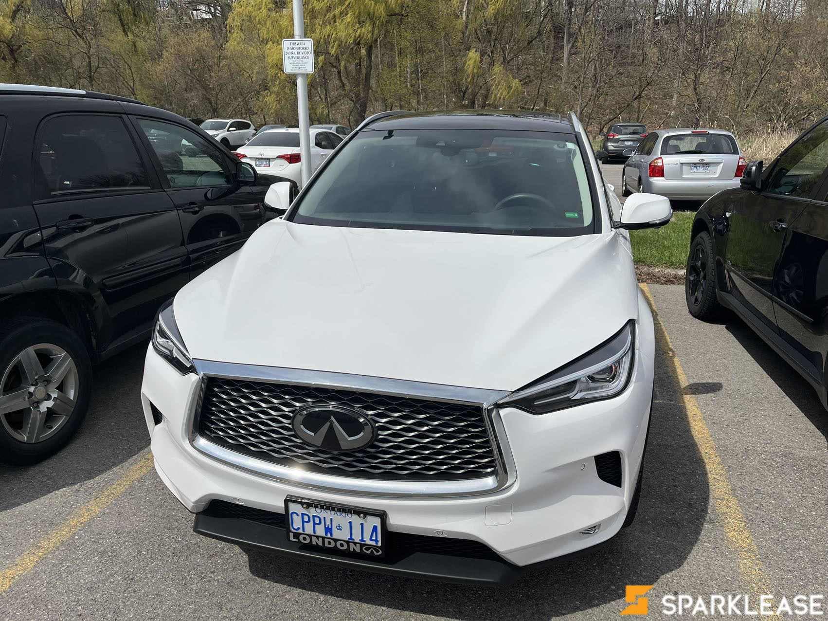 2019 Infiniti QX50 ProACTIVE AWD