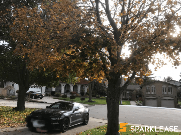2019 Ford Mustang GT
