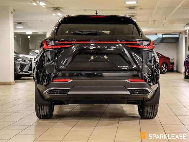 2023 Lexus  NX 250 AWD 