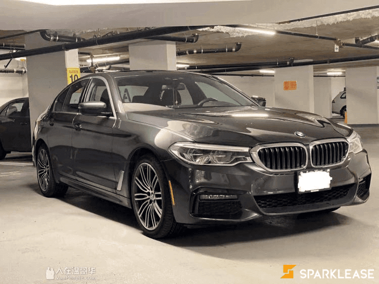 2019 BMW 530i