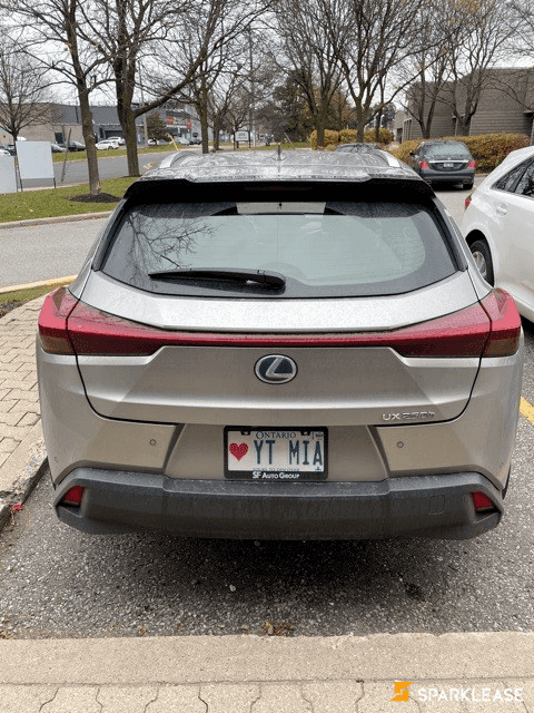 2019 Lexus UX UX 250h LUXURY