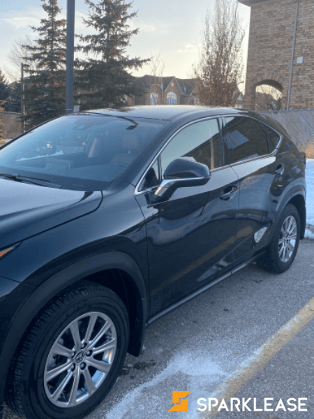 2020 Lexus NX