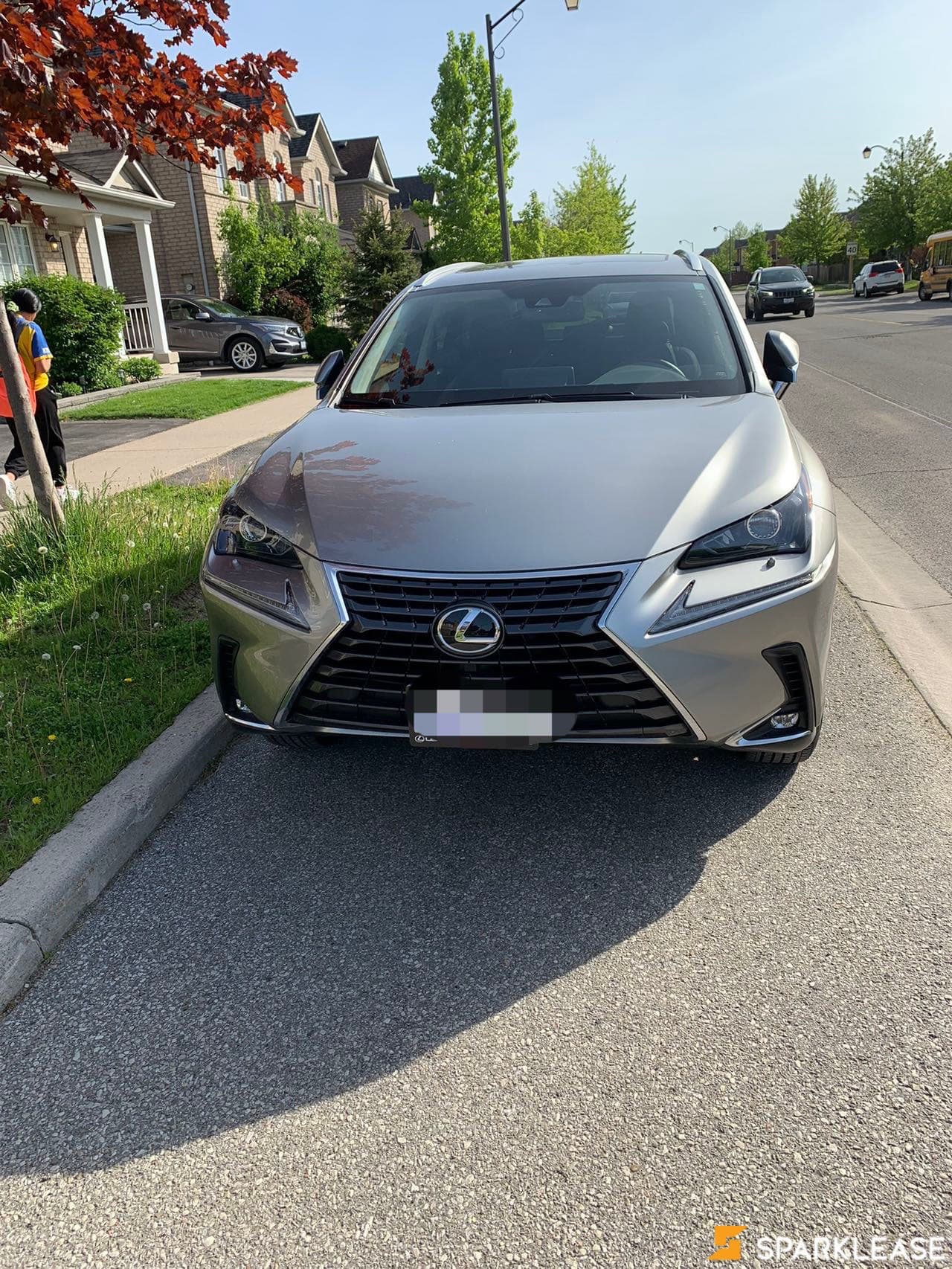 2021 Lexus NX