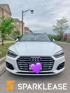 2018 Audi A5 顶配 Technik Quattro 