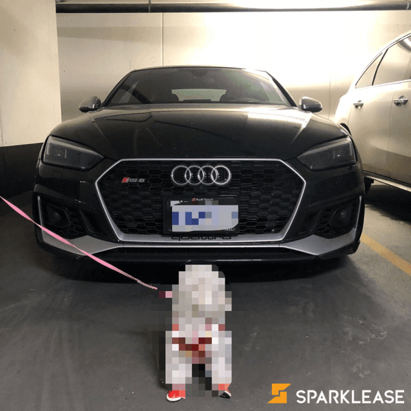 2018 Audi RS5