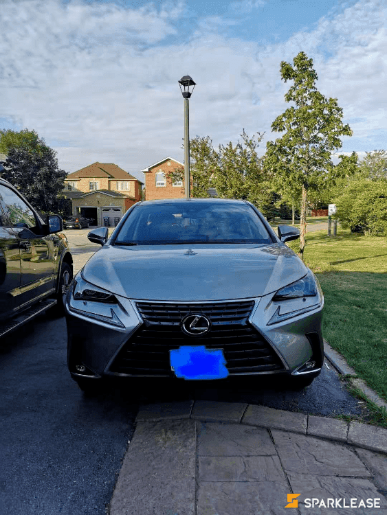 2020 Lexus NX300