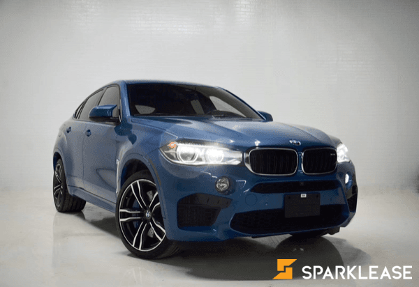 2015 BMW X6 M