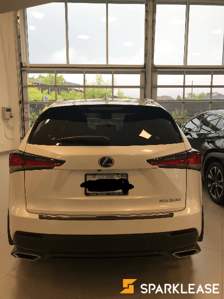 2019 Lexus NX