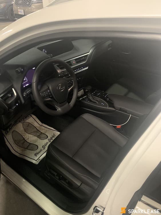 2020 Lexus UX250h