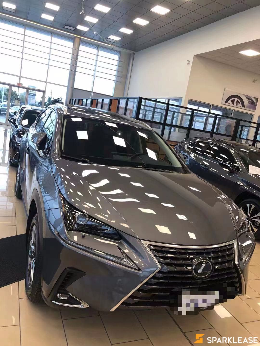 2021 Lexus NX300