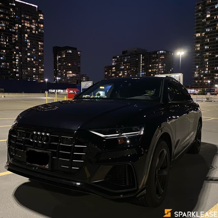 2019 Audi Q8顶配
