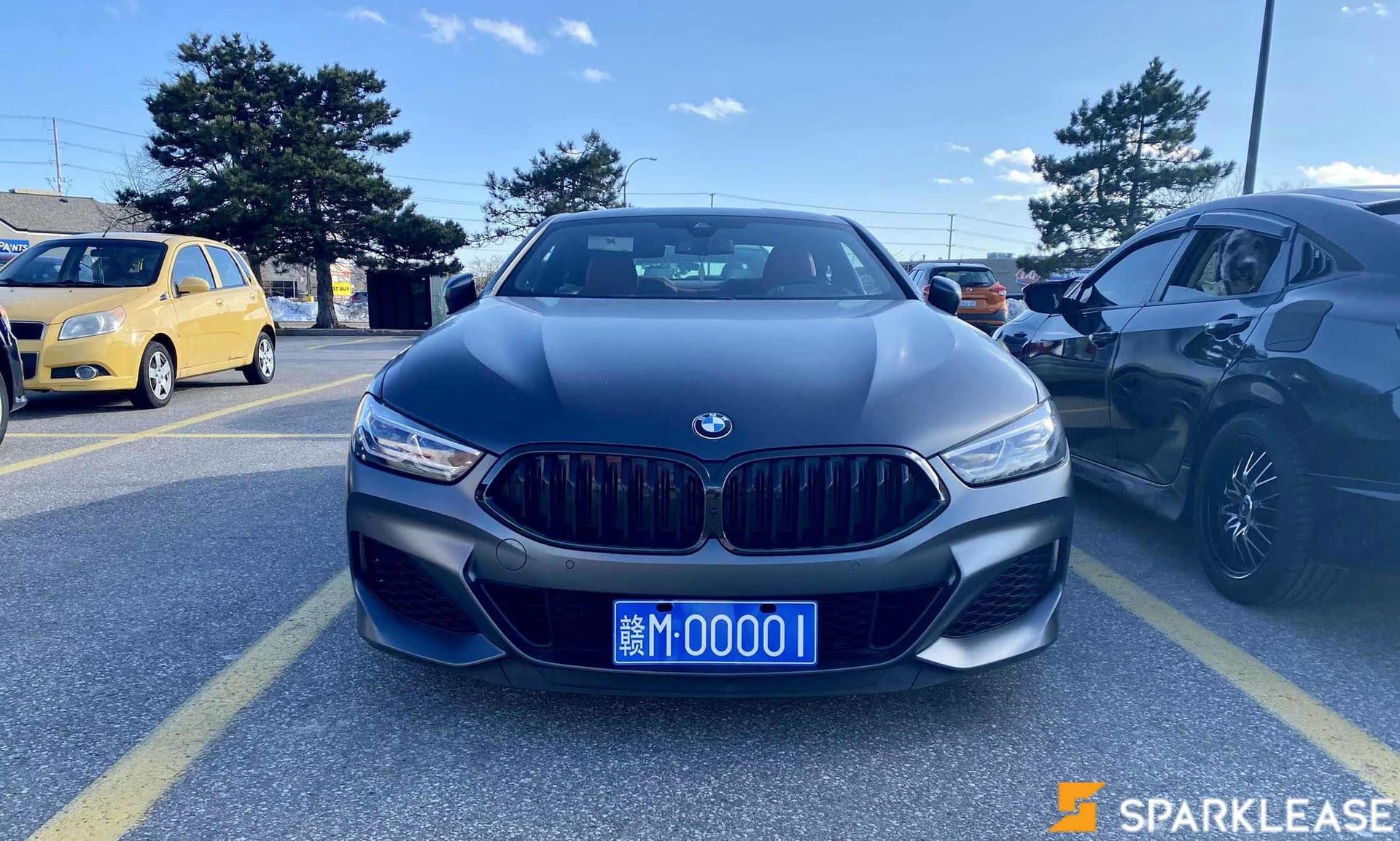 2021 BMW 8 Series M850i xDrive Coupe