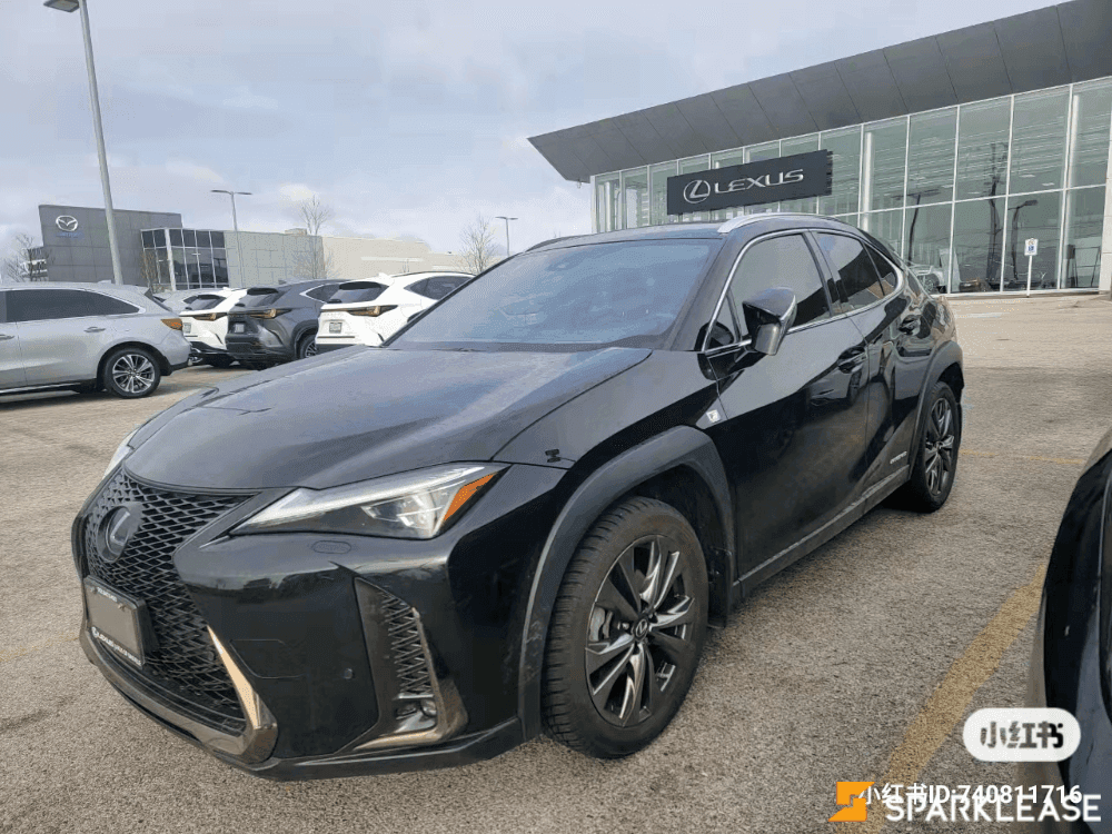 2020 Lexus UX 250h F-Sport 2 顶配