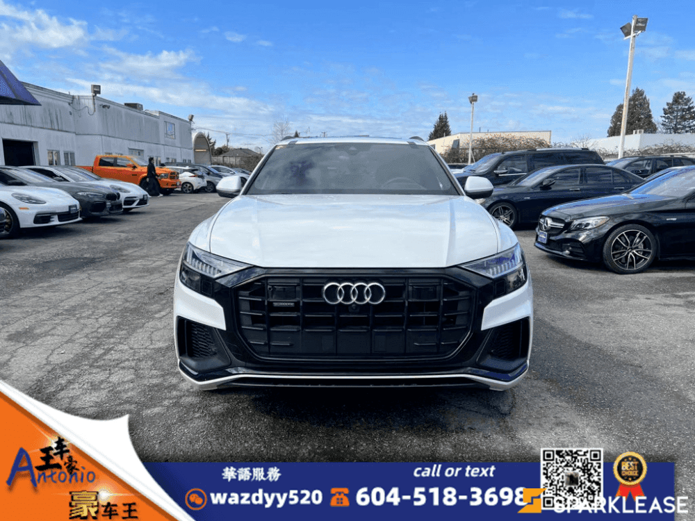 2019 Audi Q8 Technik
