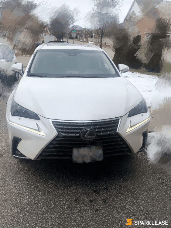 2019 Lexus NX300