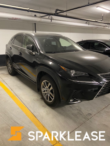 2020 Lexus NX 300