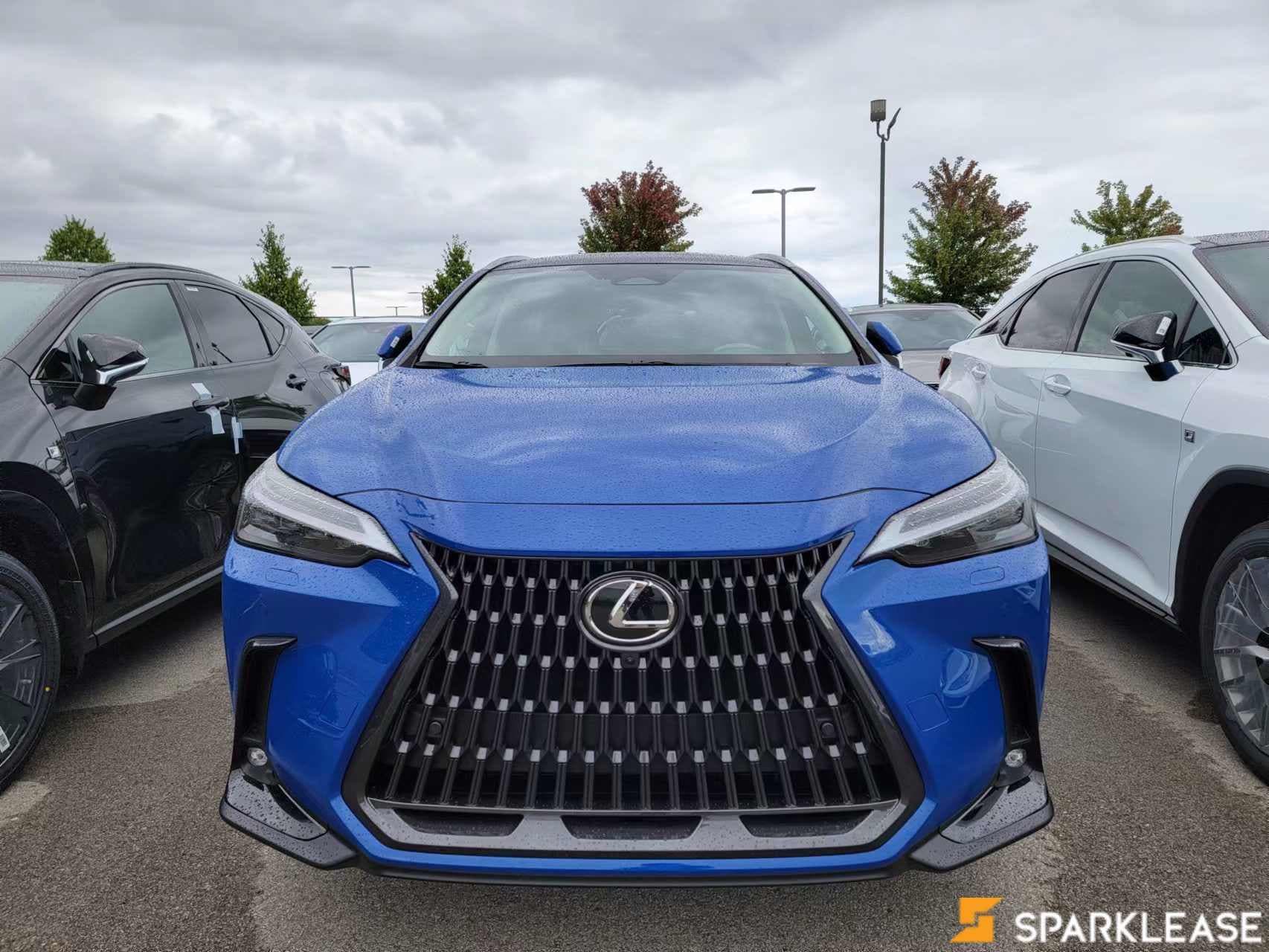 2022 Lexus  NX 350 Ultra-Luxury 现车