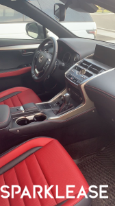 2019 Lexus NX