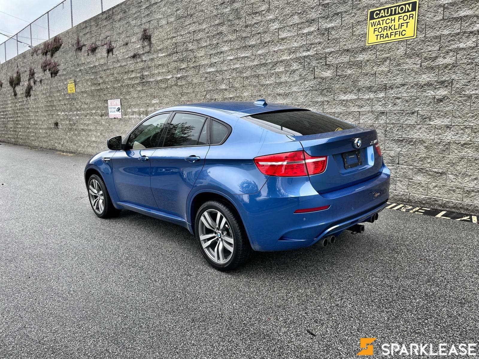 2010 BMW X6 M