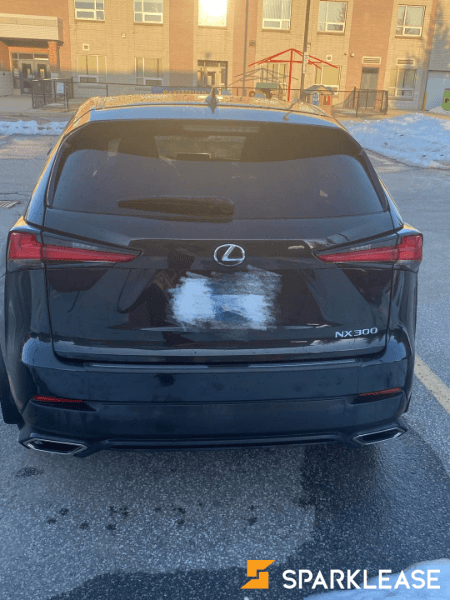 2020 Lexus NX