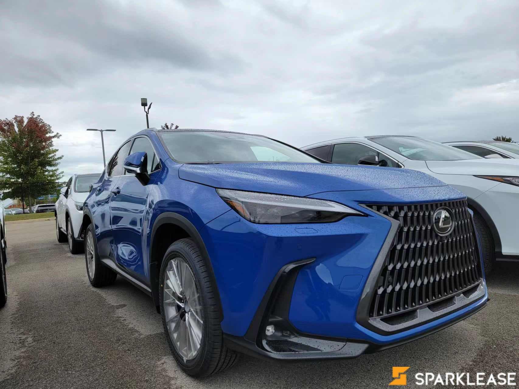 2022 Lexus  NX 350 Ultra-Luxury 现车