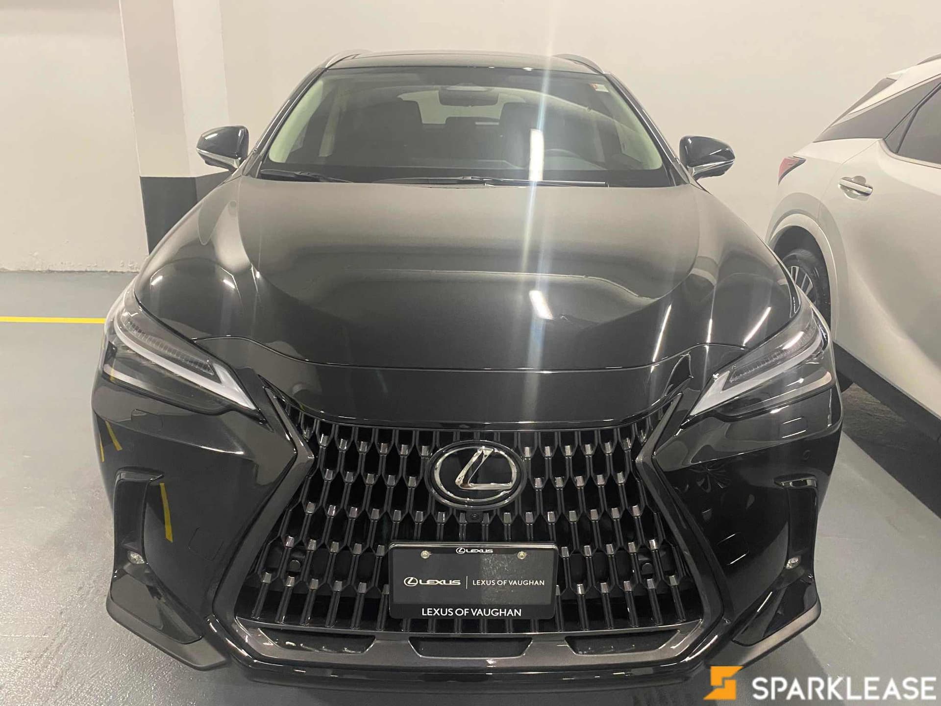 2023 LexusNX350 AWD Ultra luxury 