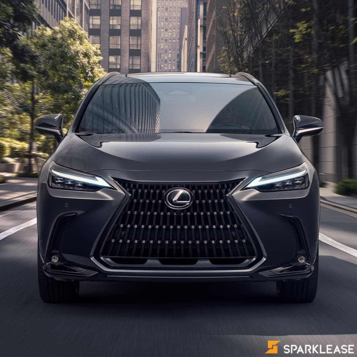 2022 Lexus  NX 350h Executive PKG 顶配现车