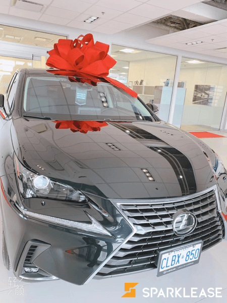 2020 Lexus NX
