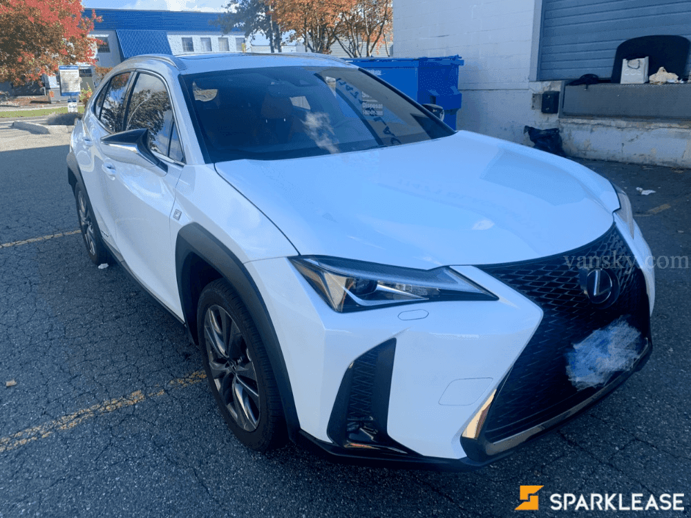 2021 Lexus UX 260h