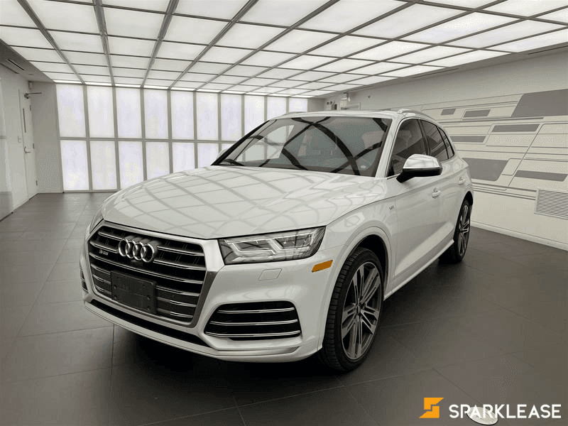 2018 Audi SQ5 Technik