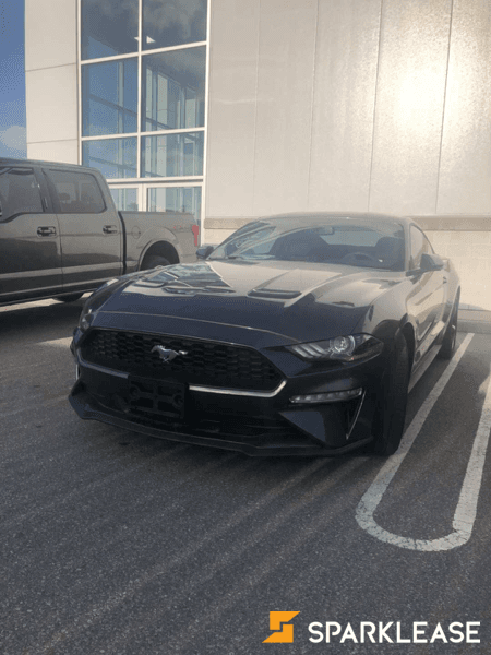2019 Ford Mustang 2.3