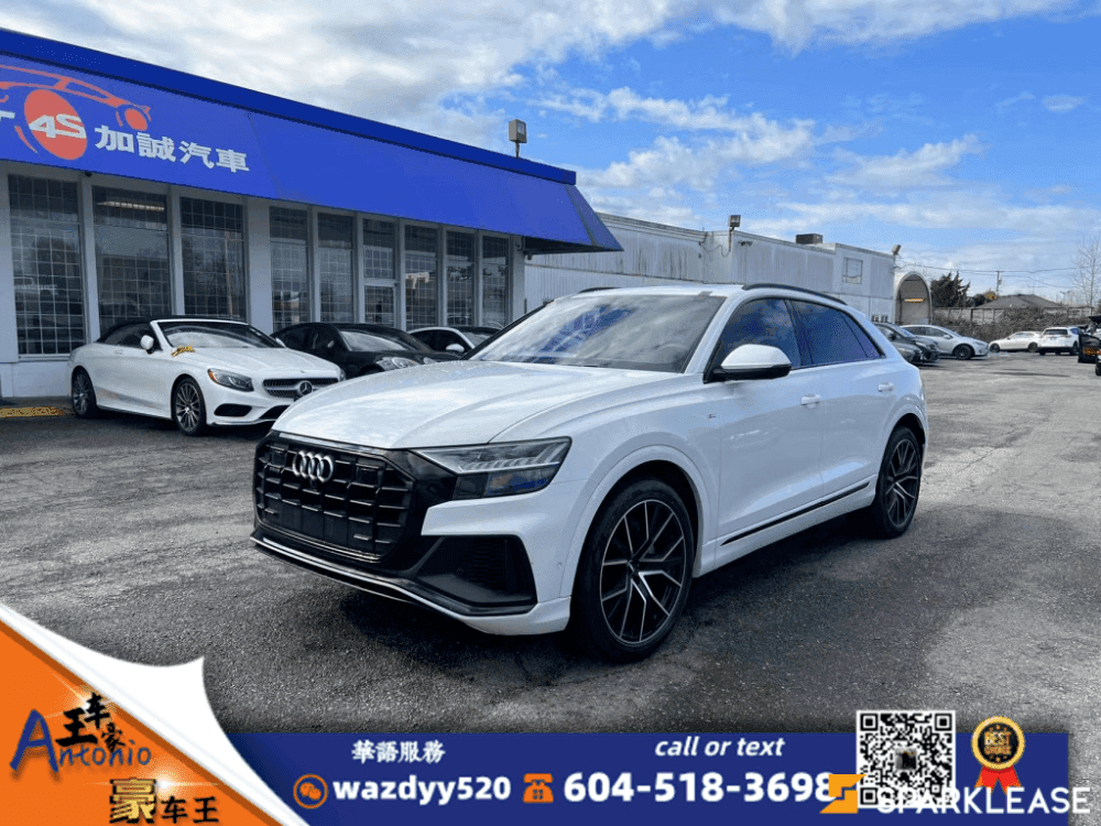 2019 Audi Q8 Technik