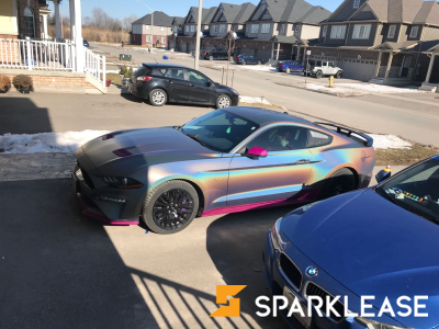 2019 Ford Mustang GT prem 全车3m gloss变色膜