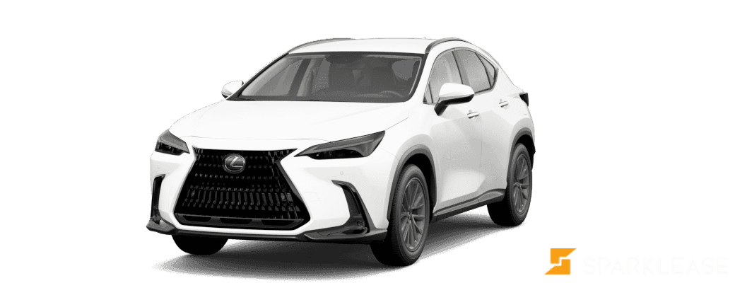2024 Lexus  NX 250 月中到店