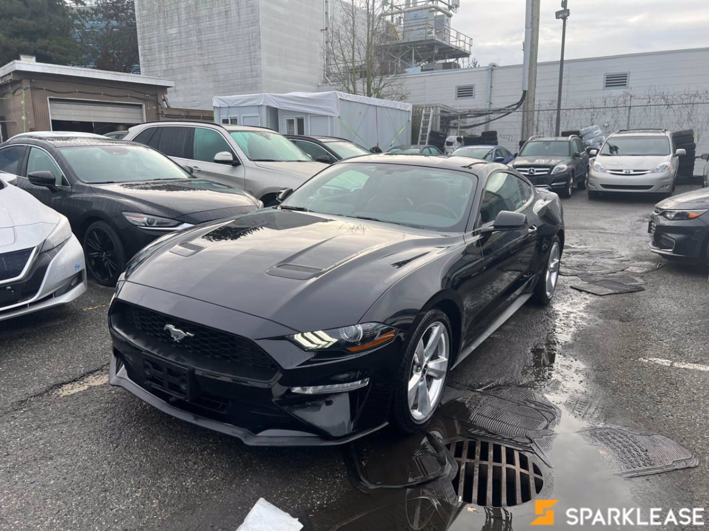 2019 Ford Mustang EcoBoost Fastback