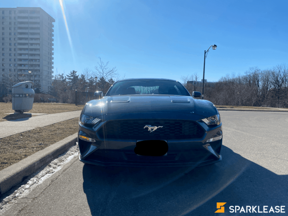 2019 Ford Mustang Fastback Premium