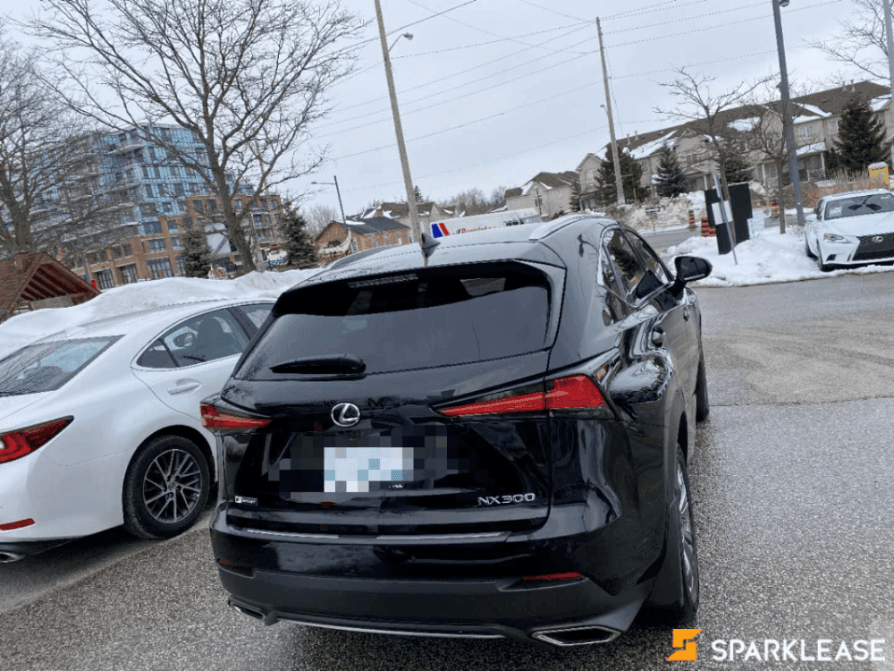 2020 Lexus NX 300 F SPORT 2