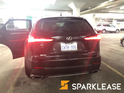 2019 Lexus NX300 