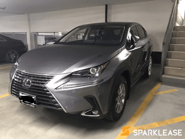 2020 Lexus NX300