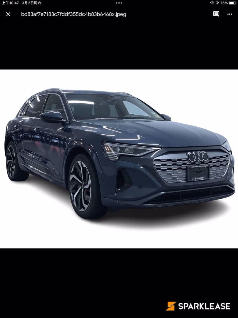 2024 Audi Q8 e-tron quattro