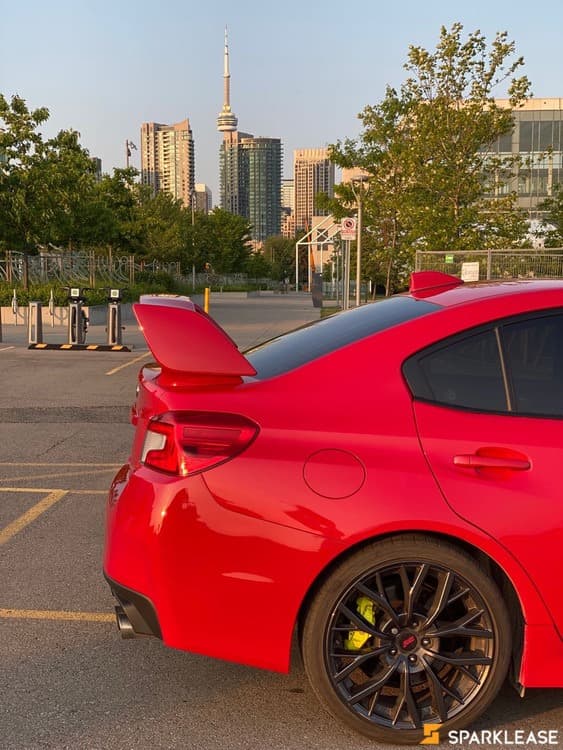 2019 Subaru STI Sport-Tech 顶配