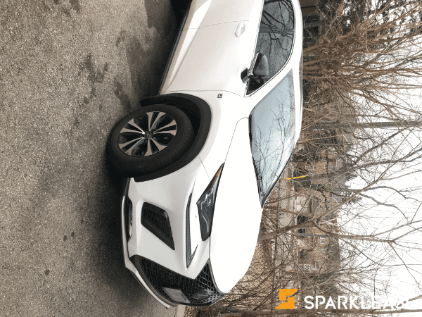 2018 Lexus NX300 F1 Sport Package